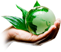 /img/publications/eco_2.jpg
